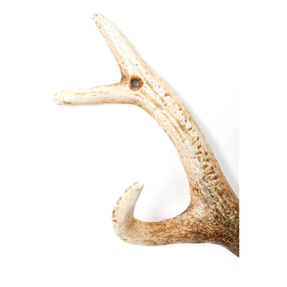 Coat Rack Antler Nature 35cm