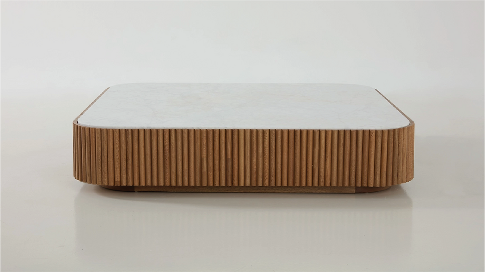 Anima Coffee Table by Zientte