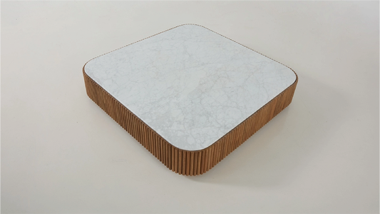 Anima Coffee Table by Zientte