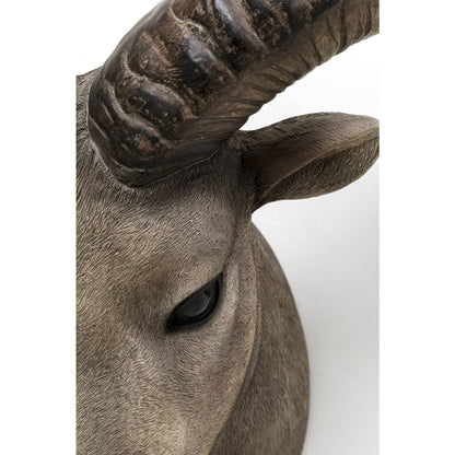 wall-object-goat-head