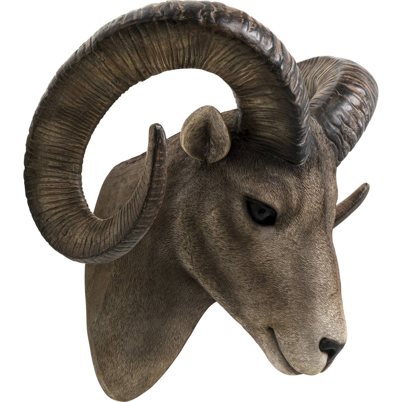 wall-object-goat-head