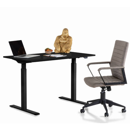 Electrically Adjustable Desk 