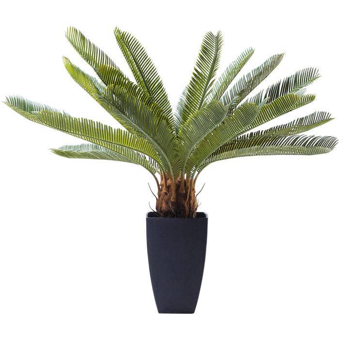 Deco Plant Cycas Tree 78cm - JULIA VENCE STORE