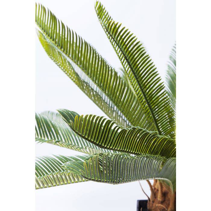 Deco Plant Cycas Tree 78cm - JULIA VENCE STORE