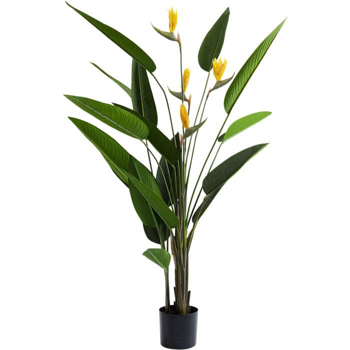 Deco Plant Paradise Flowers 190 - JULIA VENCE STORE