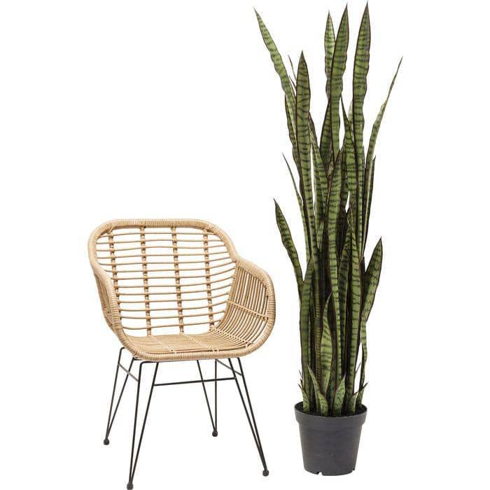 Deco Plant Sansewieria 155cm - JULIA VENCE STORE