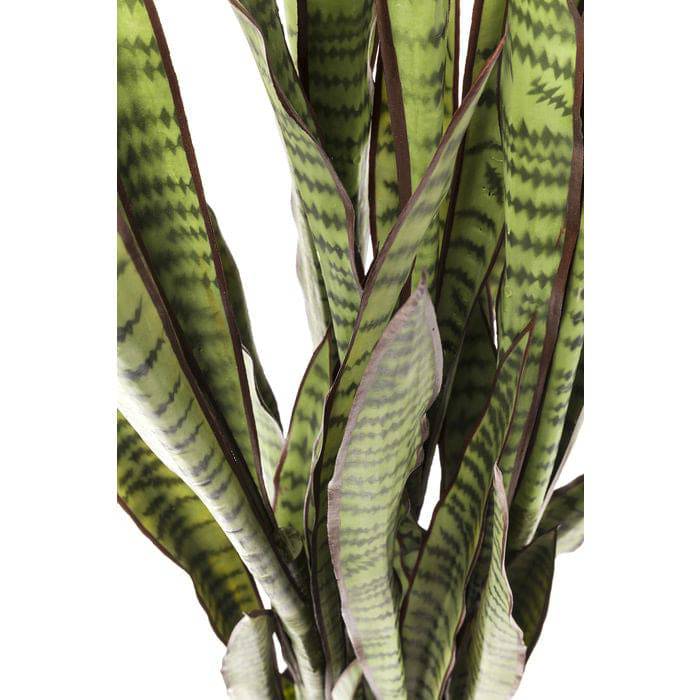 Deco Plant Sansewieria 155cm - JULIA VENCE STORE