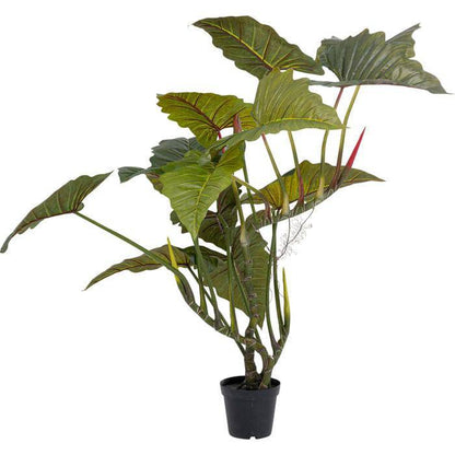 Deco Plant  Taro 180 - JULIA VENCE STORE