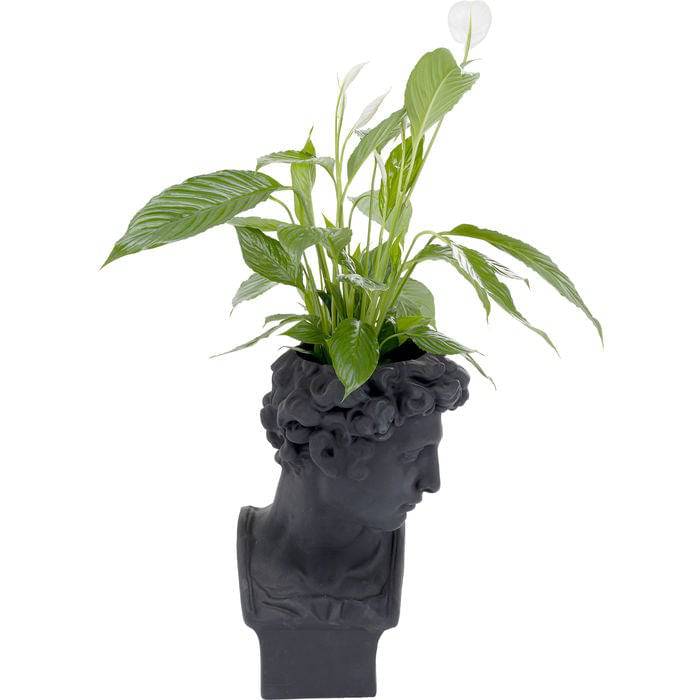 Deco Planter David Black - JULIA VENCE STORE