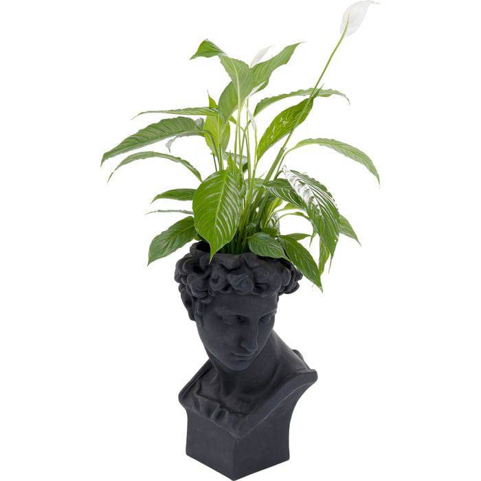 Deco Planter David Black - JULIA VENCE STORE