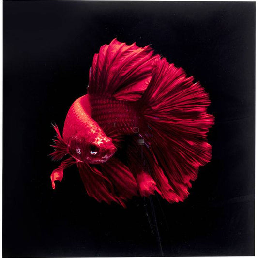 Glass Picture Fire Fish 100x100 - JULIA VENCE STORE