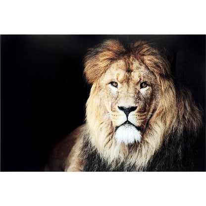 Glass Picture King of Lion 150x100 - JULIA VENCE STORE