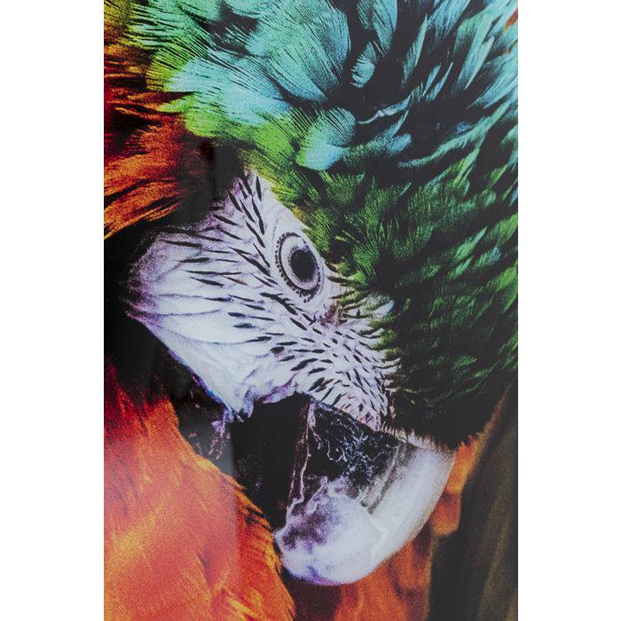 Glass Picture Tropical Parrot 120x80 - JULIA VENCE STORE