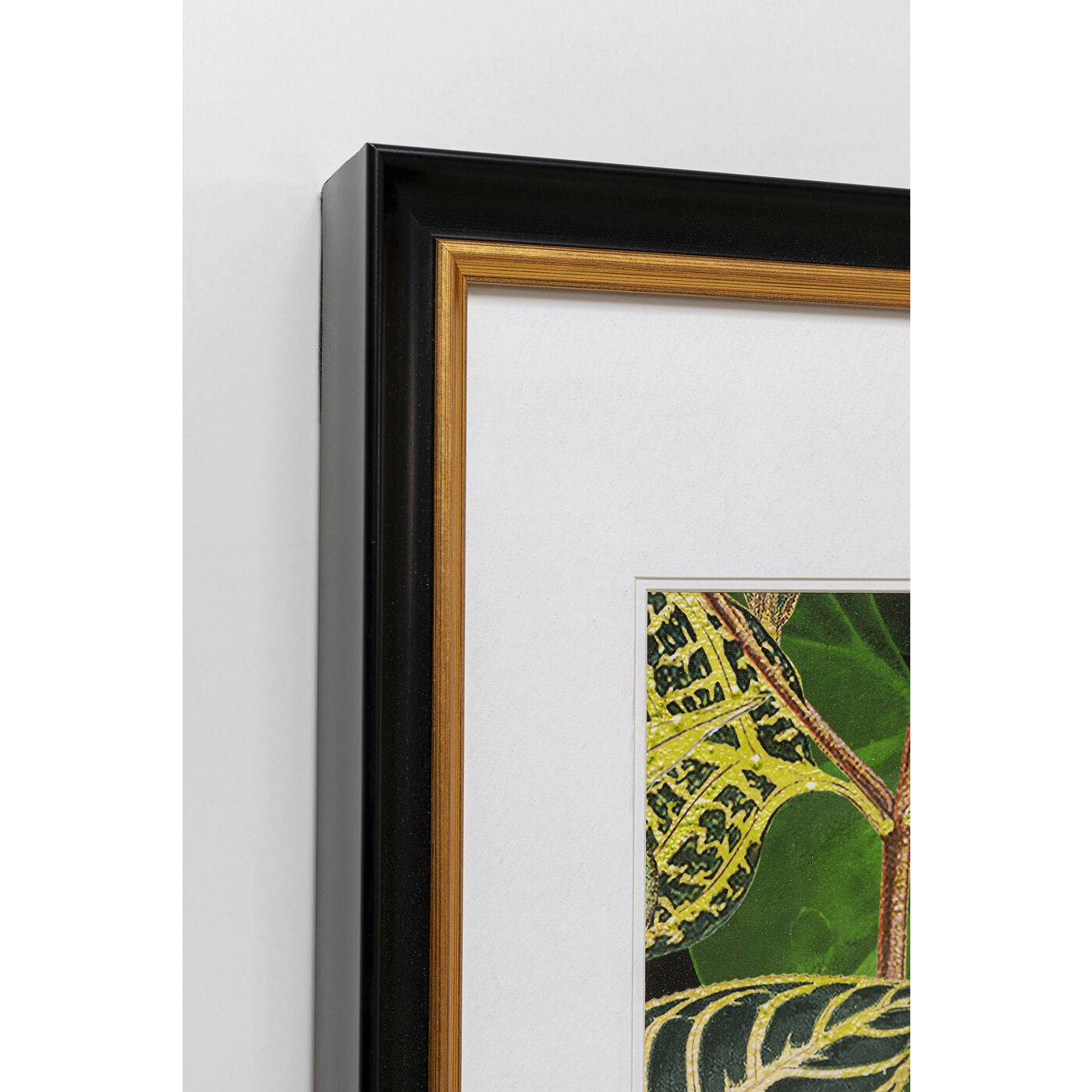 Framed Picture Birds in Jungle 80x100cm