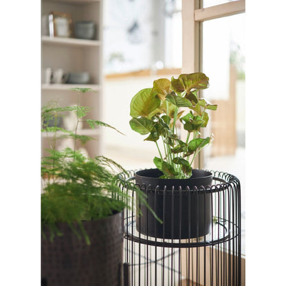 Plant Holder Wire Black 44cm