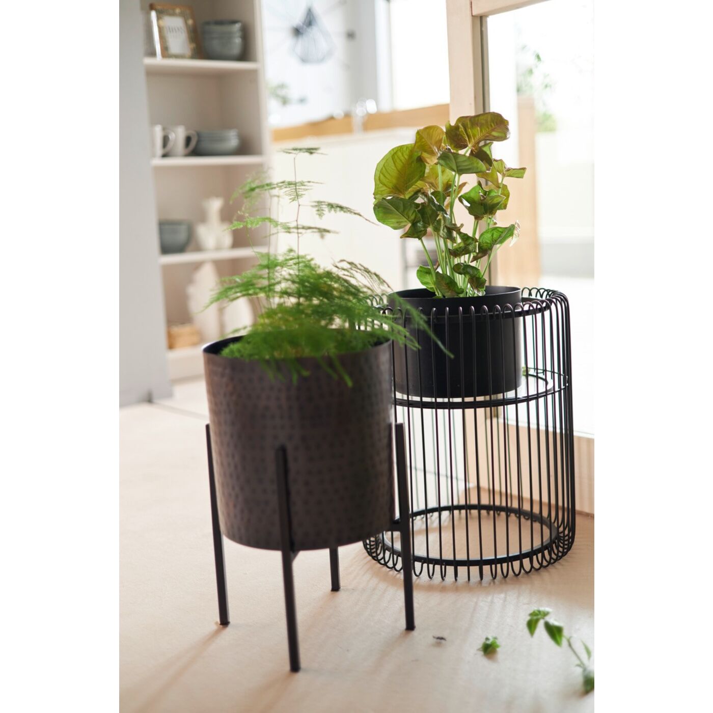 Plant Holder Wire Black 44cm