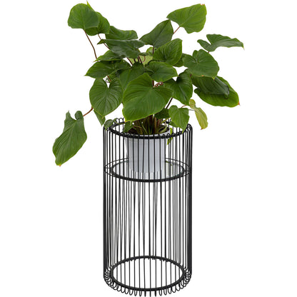 Black Wire Plant Holder 