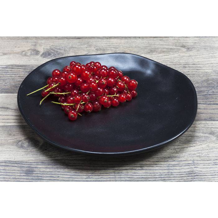 Plate Organic Black Ø20cm - JULIA VENCE STORE